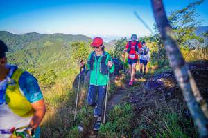 BIB: 
                            <button type="button" onclick="openModal(19069376)" class="btn btn-primary btn-sm float-right btn-popup" data-toggle="modal" data-target=".modal-high-quality">
                        <i class="fas fa-shopping-cart"></i> Add to Cart
                    </button>
                                            <button type="button" onclick="isThisMe(19069376, true)" class="btn btn-success btn-sm float-right btn-popup btn-isme hidden" data-toggle="tooltip" data-placement="bottom" title="นี่คือรูปของคุณใช่ไหม คลิกที่นี่เพื่อเอาเข้าอัลบั้ม">
                        <i class="fas fa-plus"></i> Add to album
                    </button>
                    <button type="button" onclick="isThisMe(19069376, false)" class="btn btn-warning btn-sm float-right btn-popup btn-isnotme hidden">
                        <i class="fas fa-ban"></i> Remove from album
                    </button>